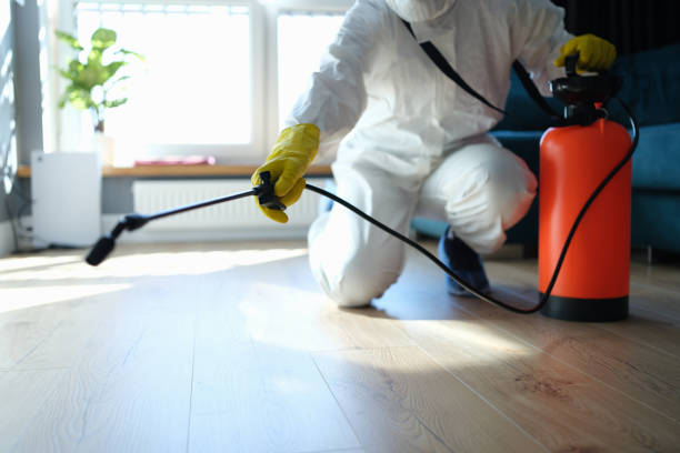 Reliable Odor Removal contractor in Yucaipa, CA by Crime Scene Cleaner Online